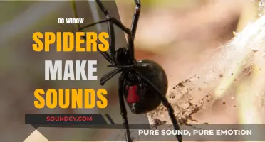 Do Widow Spiders Make Sounds? Unveiling the Truth About Their Noises