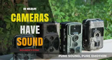 Do Wildlife Cameras Capture Sound? Exploring Audio Features in Trail Cams