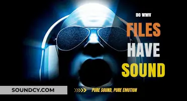 Do WMV Files Include Audio? Understanding Sound in WMV Format