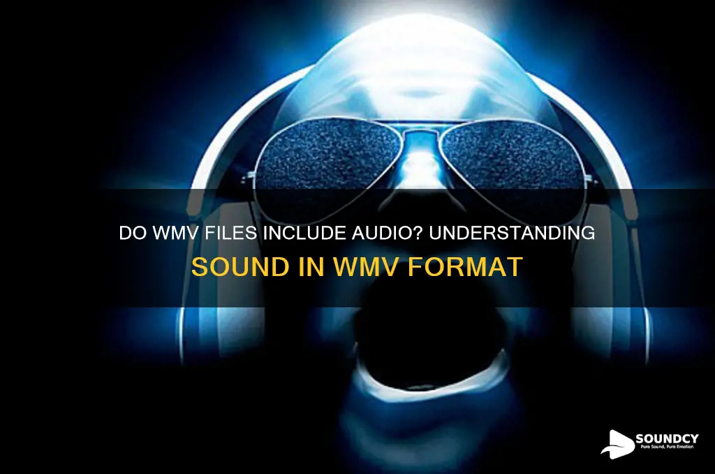 do wmv files have sound