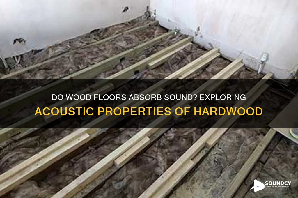 do wood floors absorb sound