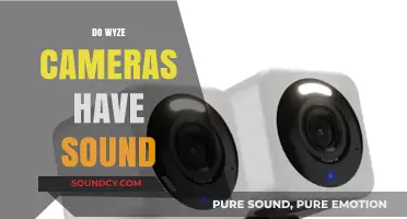 Do Wyze Cameras Have Sound? Exploring Audio Features and Capabilities