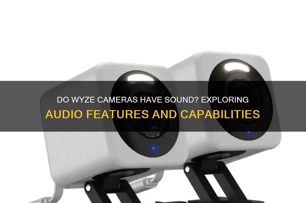 do wyze cameras have sound