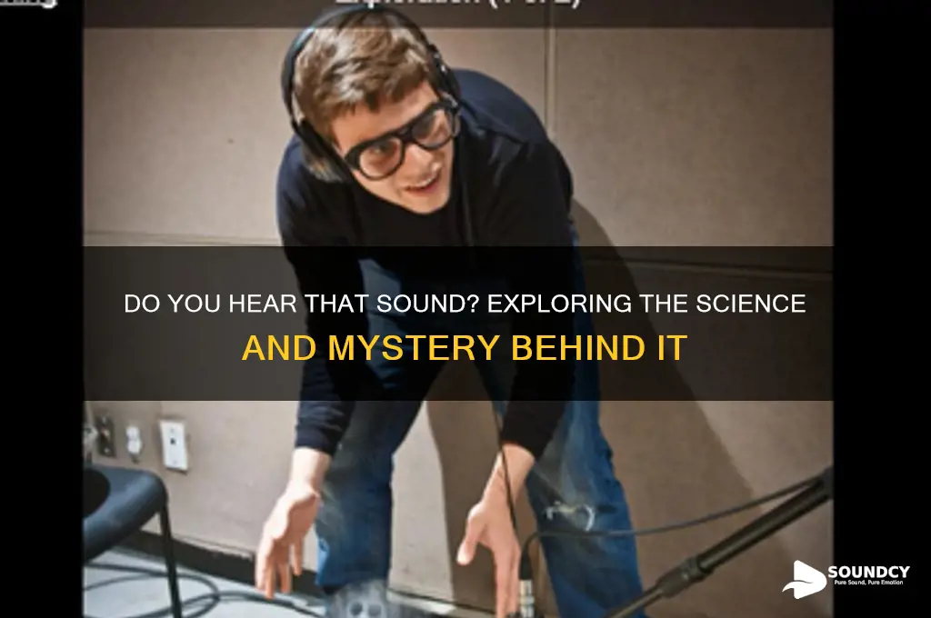do you aer that sound