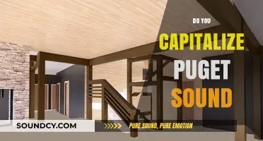 Capitalizing Puget Sound: Grammar Rules and Proper Usage Explained
