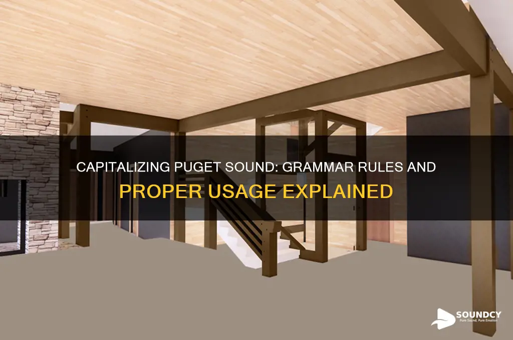 do you capitalize puget sound