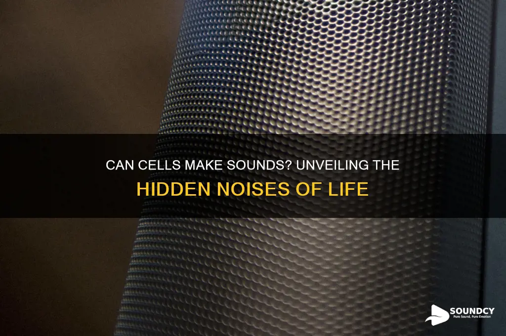 do you cells make sounds