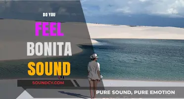 Do You Feel Bonita Sound? Exploring the Vibes and Emotions