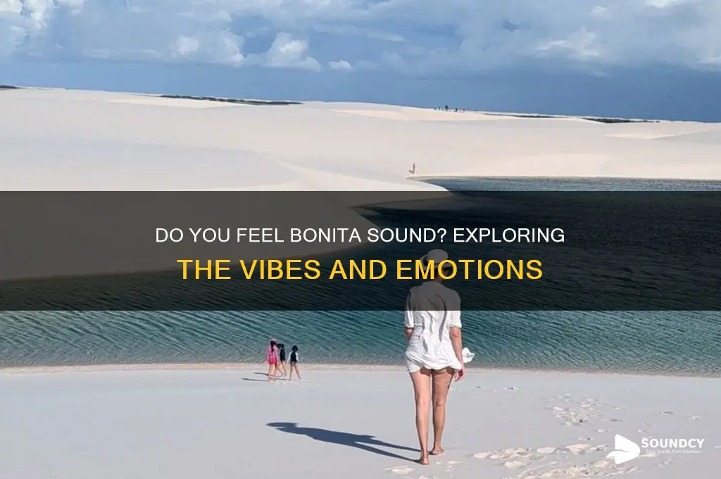 do you feel bonita sound