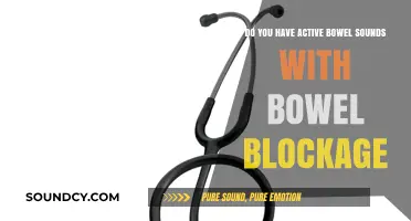 Active Bowel Sounds: What They Mean in Bowel Blockage Cases