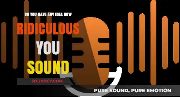 Do You Realize How Ridiculous You Sound? Let’s Talk About It