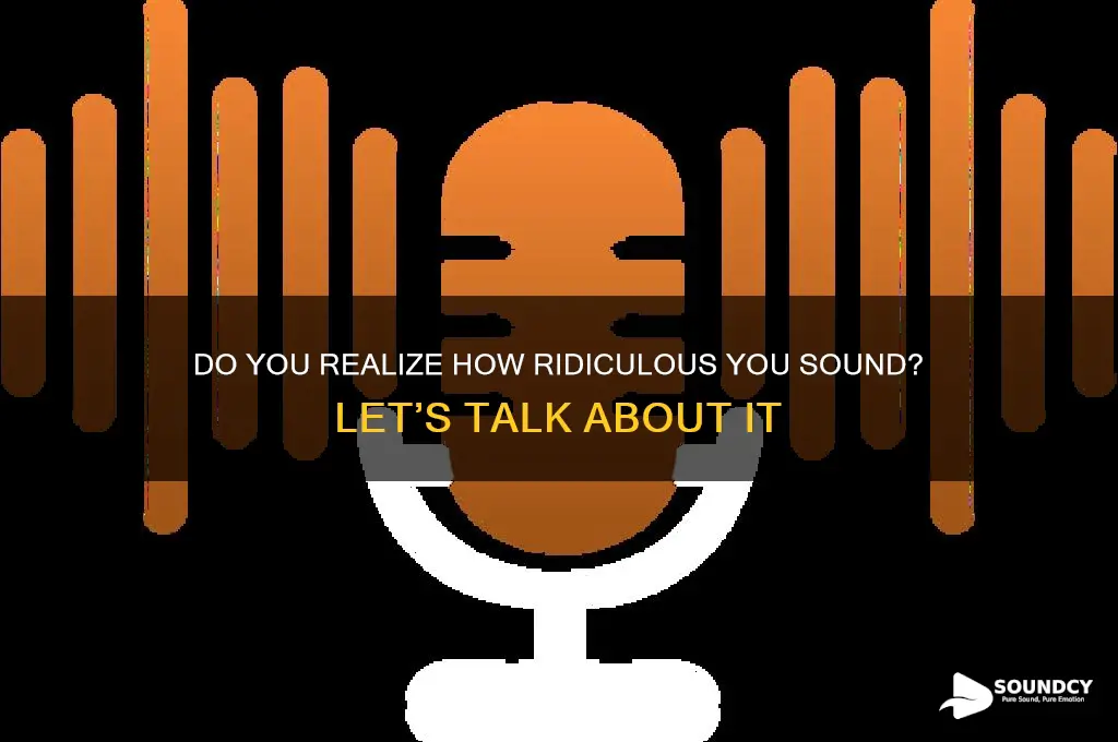 do you have any idea how ridiculous you sound
