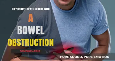 Bowel Sounds and Obstruction: Understanding the Connection and Symptoms
