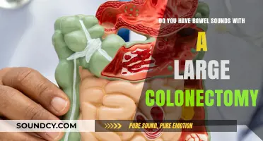 Bowel Sounds Post-Large Colonectomy: What to Expect and Why It Matters
