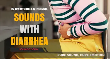 Hyperactive Bowel Sounds and Diarrhea: Causes, Symptoms, and Relief Tips