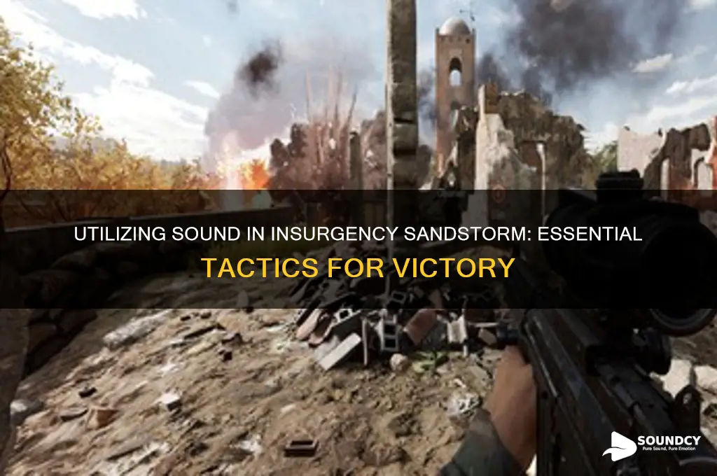 do you have to unilizwe sound in insurgency sandstorm