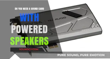 Powered Speakers and Sound Cards: Do You Really Need Both?