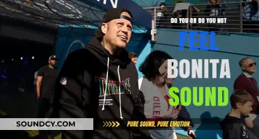 Do You Feel Bonita Sound? Exploring the Emotional Resonance of Music