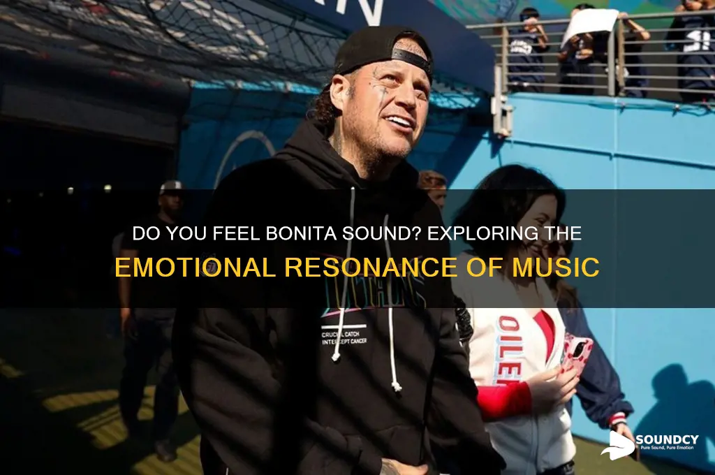 do you or do you not feel bonita sound