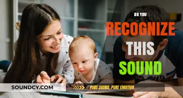 Do You Recognize This Sound? Unraveling the Mystery Behind Familiar Noises