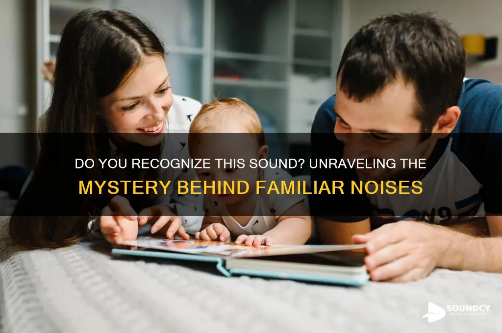 do you recognize this sound