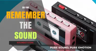 Echoes of Memory: Do You Remember the Sound?