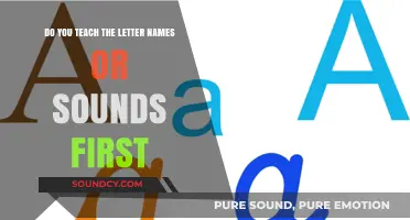 Letter Names vs. Sounds: Which Should You Teach First in Early Literacy?