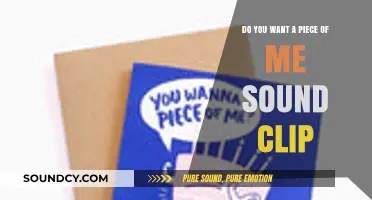 Do You Want a Piece of Me? Sound Clip Origins & Impact