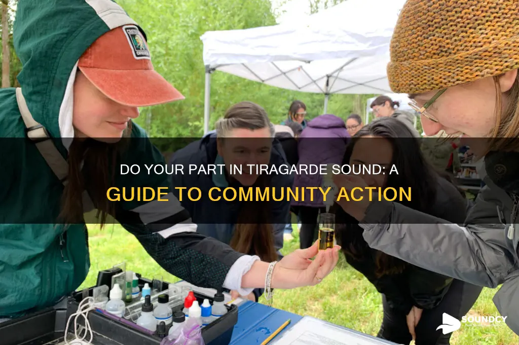do your part tiragarde sound