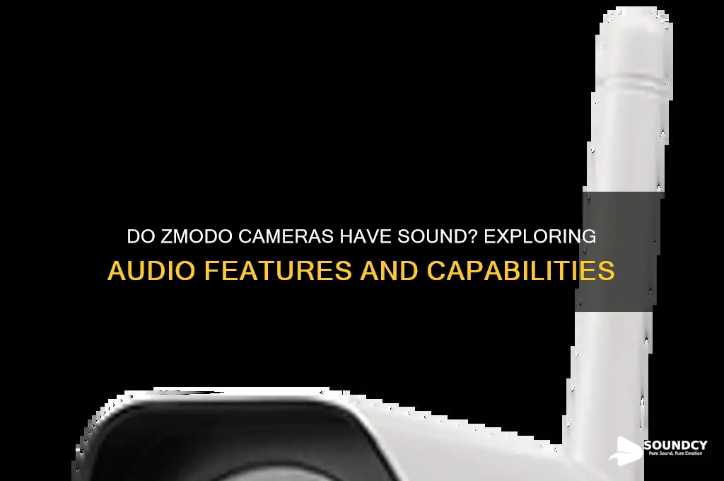 do zmodo cameras have sound