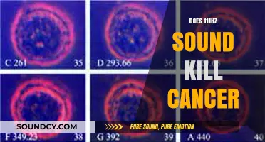 Can 111Hz Sound Frequency Destroy Cancer Cells? Exploring the Science