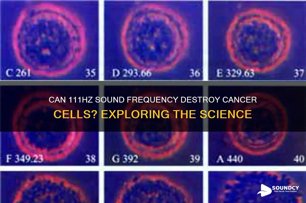 does 111hz sound kill cancer