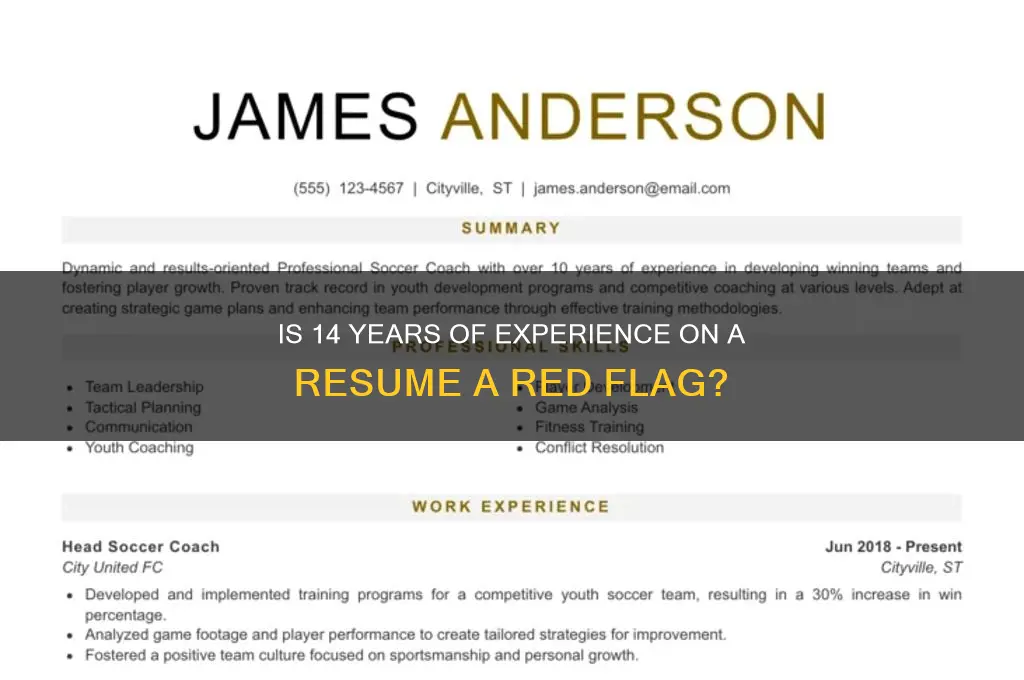 does 14 years of experience on resume sound old
