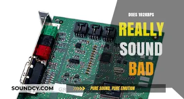 Does 192kbps Audio Quality Really Sound Bad? A Critical Analysis