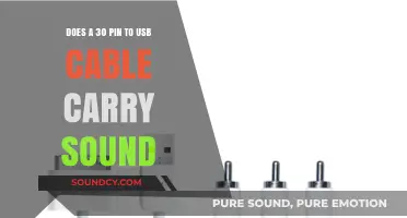 Can a 30-Pin to USB Cable Transmit Audio Signals?