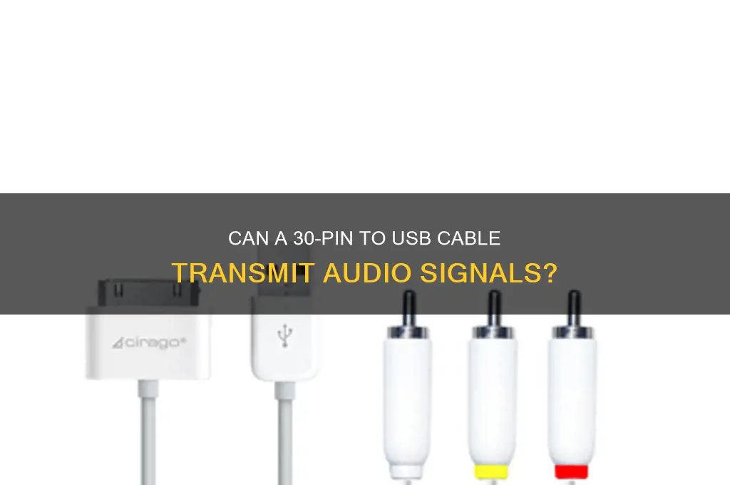 does a 30 pin to usb cable carry sound
