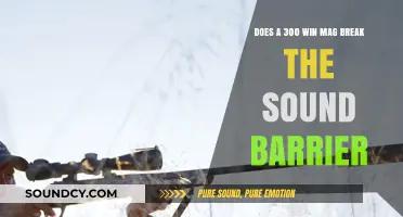 Can a 300 Win Mag Break the Sound Barrier?