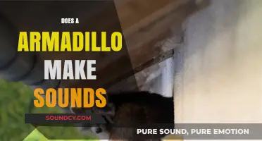 Do Armadillos Make Sounds? Unveiling the Noises of These Armored Creatures