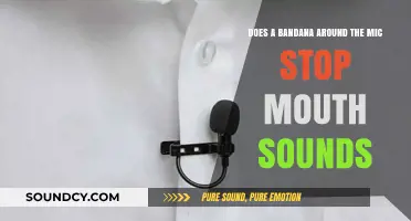 Bandana Mic Technique: Effective Mouth Sound Reduction or Myth?