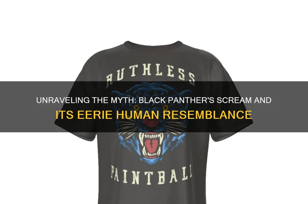 does a black panther sound like a woman screaming