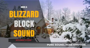 Does a Blizzard Block Sound? Exploring Winter's Acoustic Effects