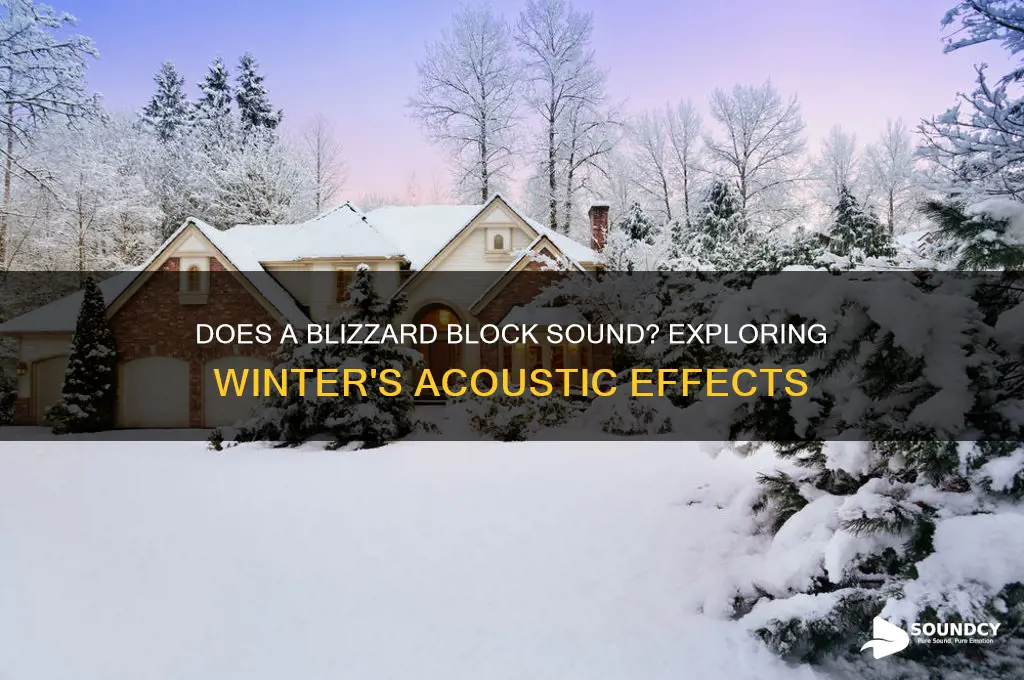 does a blizzard block sound