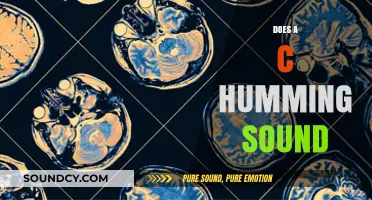 Unraveling the Mystery: Does a Constant Humming Sound Affect Us?