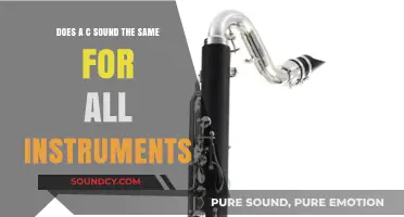 Does the Note C Sound Identical Across All Musical Instruments?