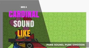 What Does a Cardinal Sound Like? Exploring Their Unique Bird Calls