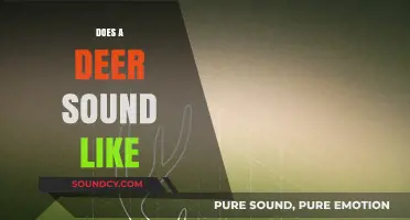 What Does a Deer Sound Like? Exploring Their Unique Vocalizations