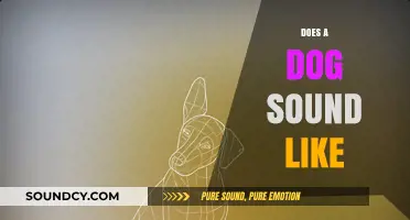 What Does a Dog Sound Like? Exploring Canine Vocalizations and Meanings