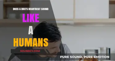 Canine vs. Human Heartbeats: Uncovering the Rhythmic Differences