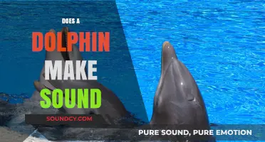 Do Dolphins Make Sounds? Unveiling Their Unique Communication Methods