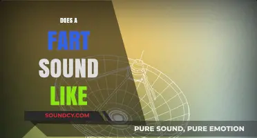 Exploring the Science and Humor Behind What a Fart Sounds Like